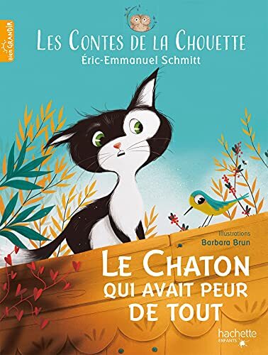 les contes de la chouette - le chaton qui n'avait pas de courage   [1]