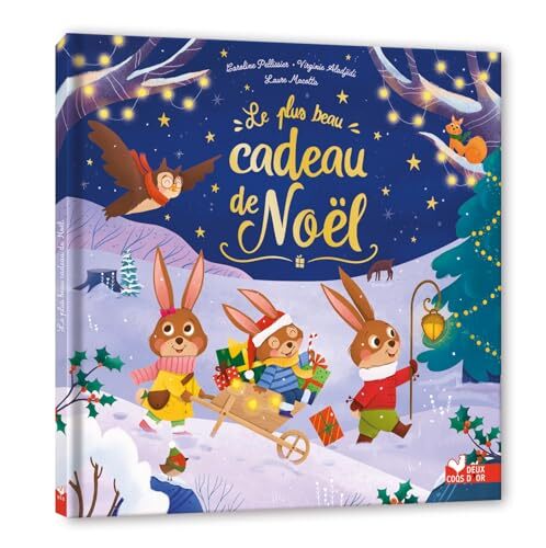 le plus beau cadeau de noël  