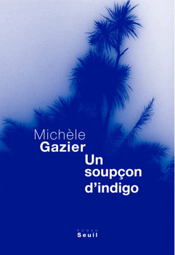 un soupçon d'indigo  