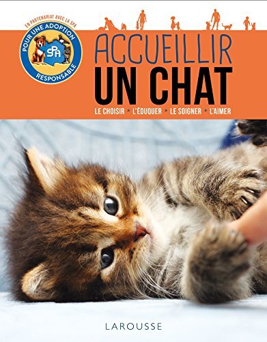 accueillir un chat / le choisir, l'éduquer, le soigner, l'aimer