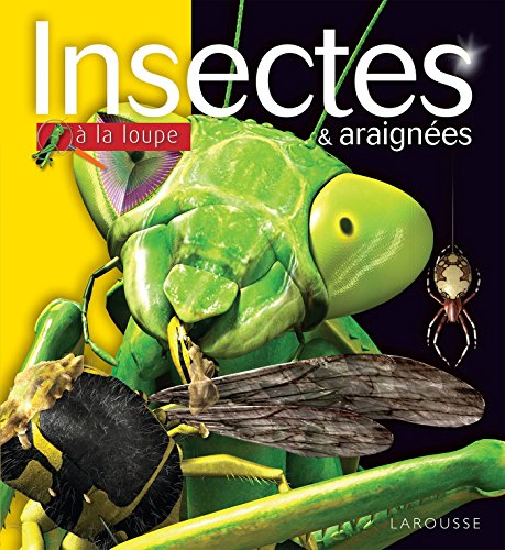 insectes et araignées