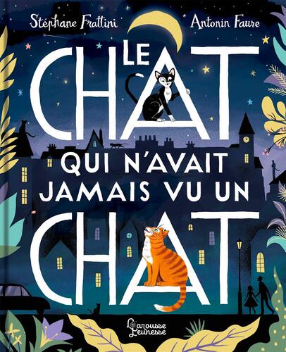 le chat qui n'avait jamais vu un chat  
