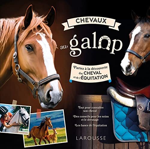 chevaux au galop