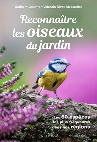reconnaître les oiseaux du jardin