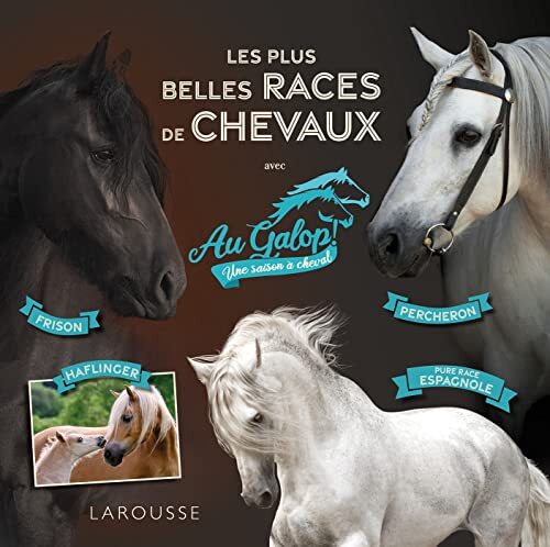 les plus belles races de chevaux avec 
