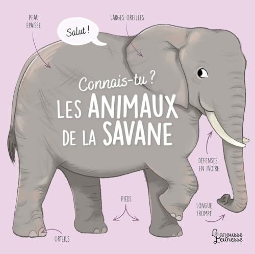 connais-tu les animaux de la savane ?