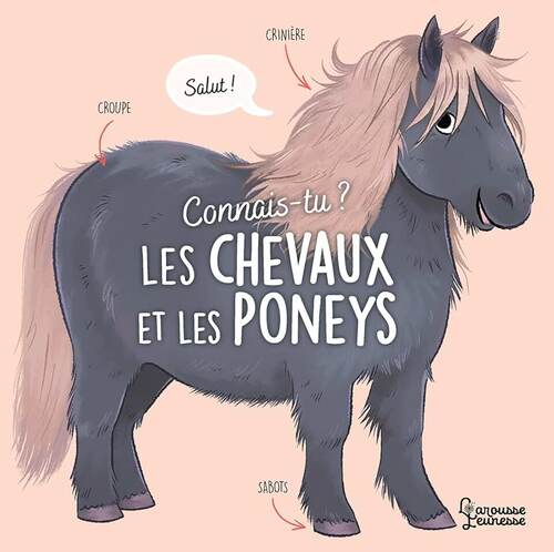 les chevaux et les poneys  