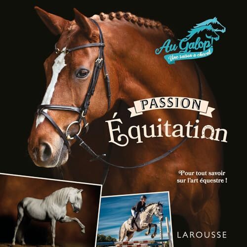 passion équitation
