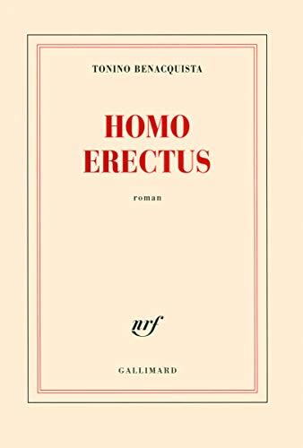homo erectus