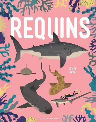 requins