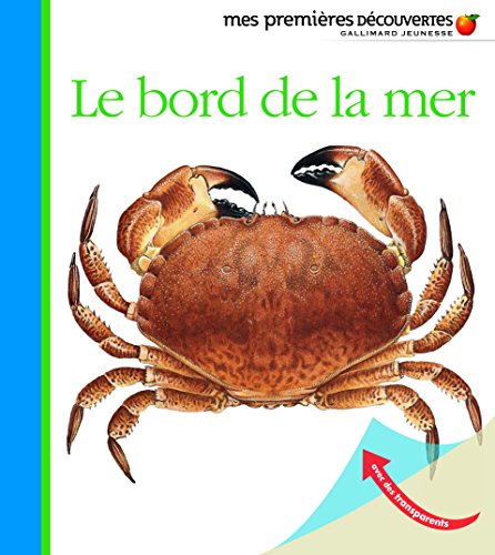 le bord de la mer   [43]
