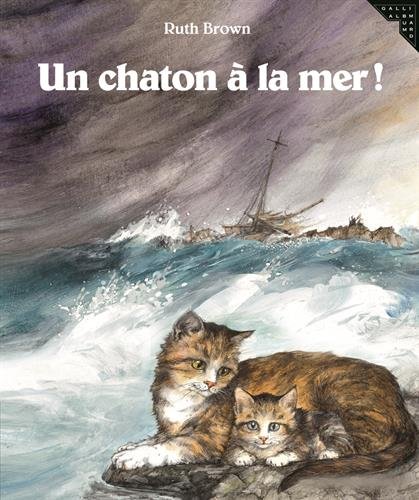 un chaton à la mer !  