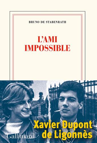 l' ami impossible  
