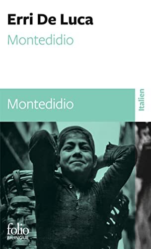 montedidio [230]