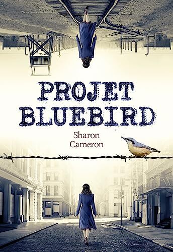 projet bluebird