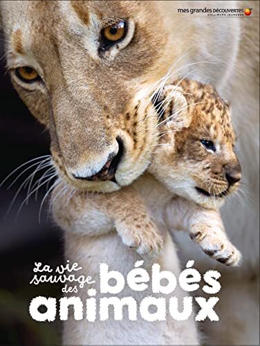 la vie sauvage des bébés animaux  