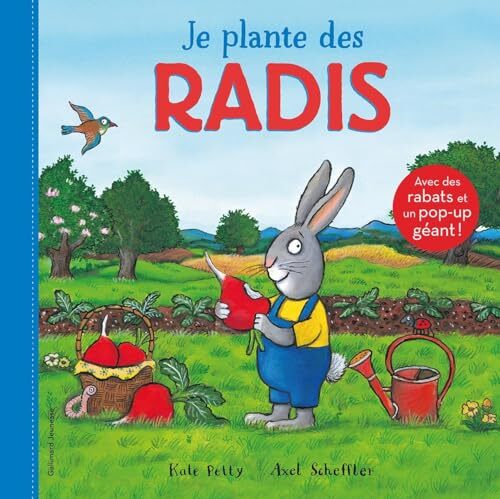 je plante des radis