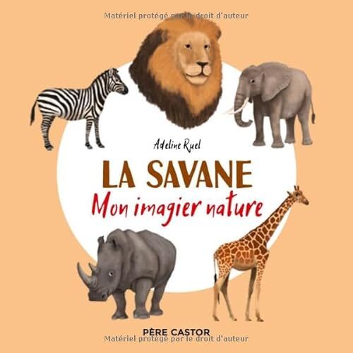 [la ]savane