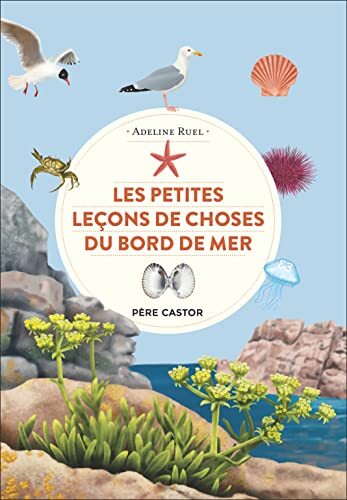 les petites leçons de choses du bord de mer  