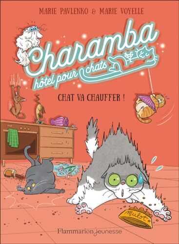 chat va chauffer !
