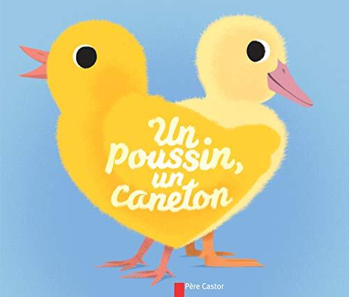 un poussin, un caneton  