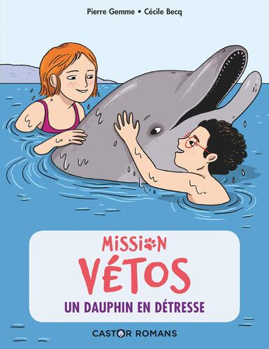 mission vetos 