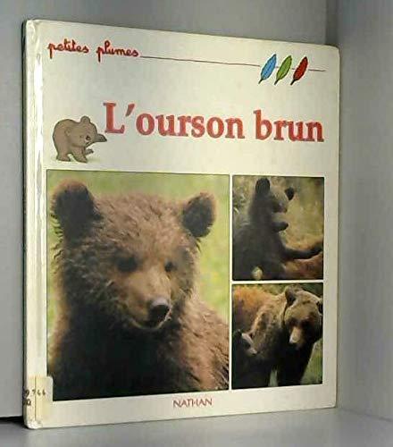 l' ourson brun  