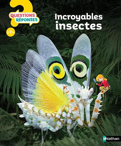 incroyables insectes