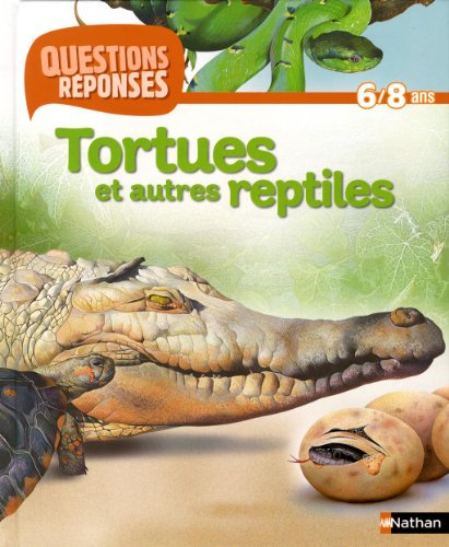 tortues et autres reptiles