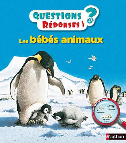 les bébés animaux   [9]