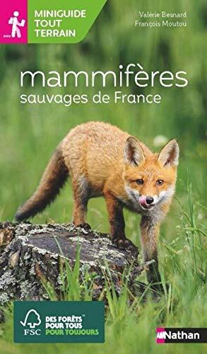mammifères sauvages de france