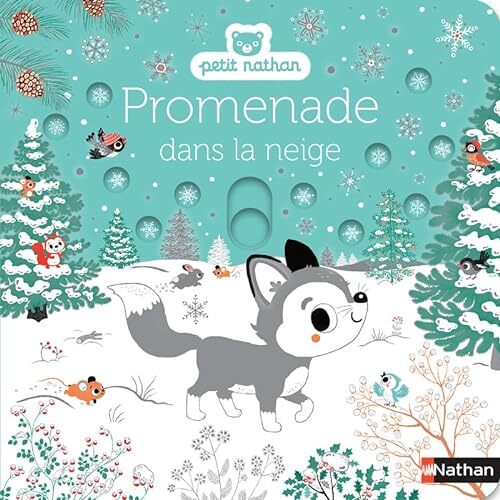 promenade dans la neige