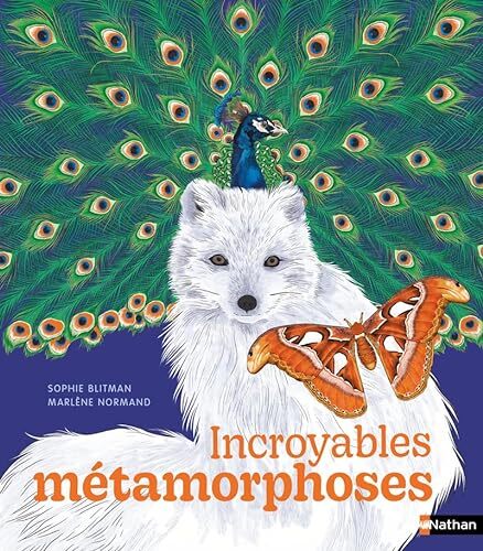incroyables métamorphoses