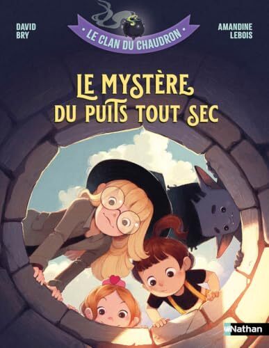 le clan du chaudron : le mystère du puits tout sec  