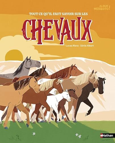 tout ce qu'il faut savoir sur les chevaux