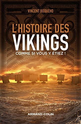 l' histoire des vikings comme si vous y étiez !  