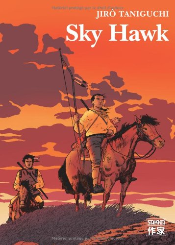 sky hawk