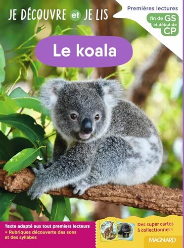 le koala   [GS, CP]