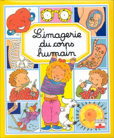 l' imagerie du corps humain  