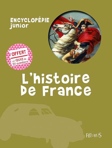 l' histoire de france  