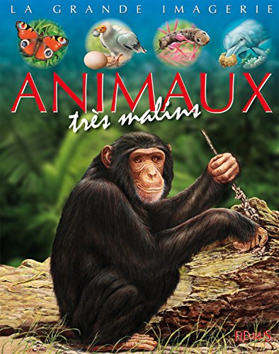 animaux très malins