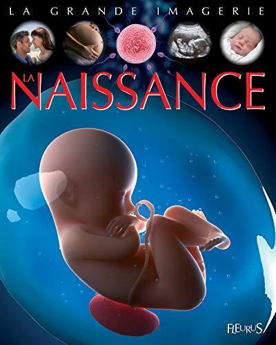 la naissance - la grande imagerie  