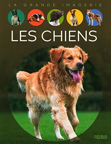 les chiens  