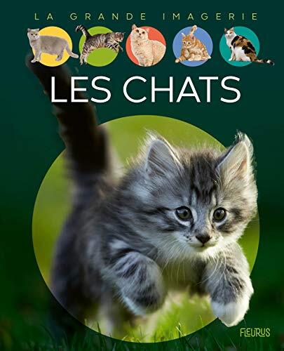 les chats  