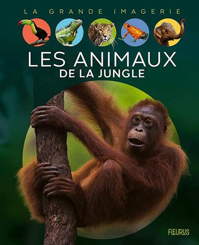 les animaux de la jungle  