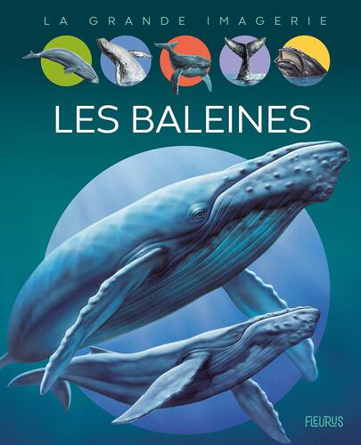 les baleines  