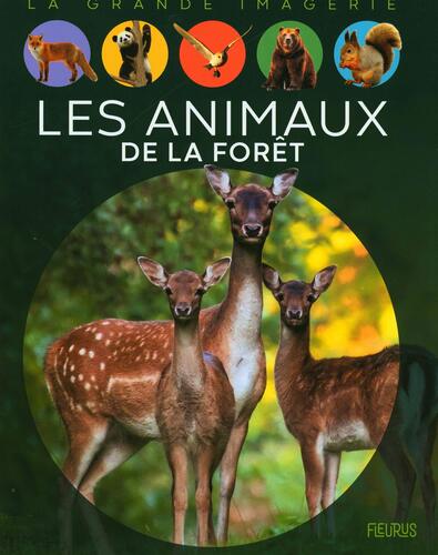 les animaux de la forêt  