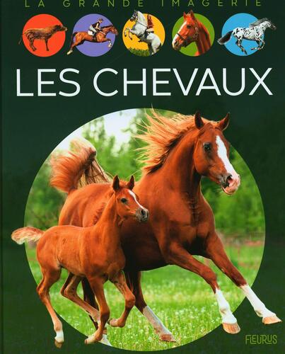 les chevaux  