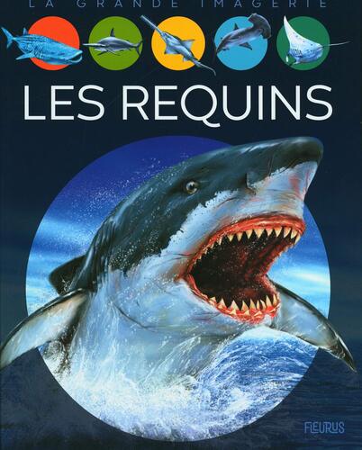 les requins  