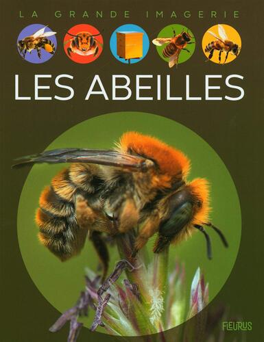 les abeilles - la grande imagerie